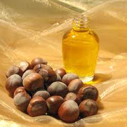 Hazelnut Oil